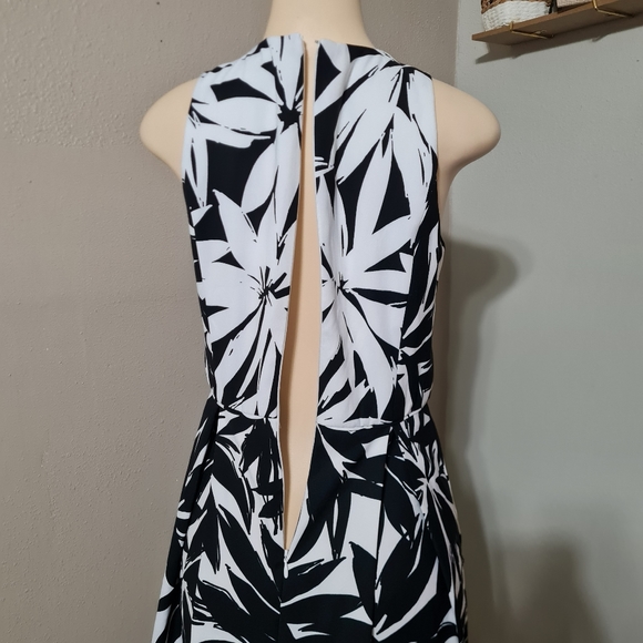 ASHLEY BEYOND GRAHAM DRESS WOMEN SIZE 8 (MEDIUM) WHITE AND BLACK NWT - Picture 5 of 9